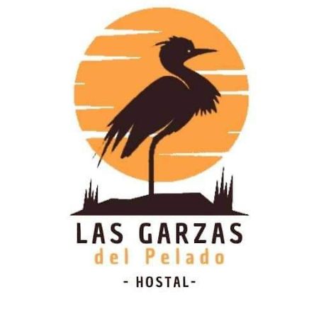 Hostal Las Garzas Del Pelado Playas Eksteriør billede
