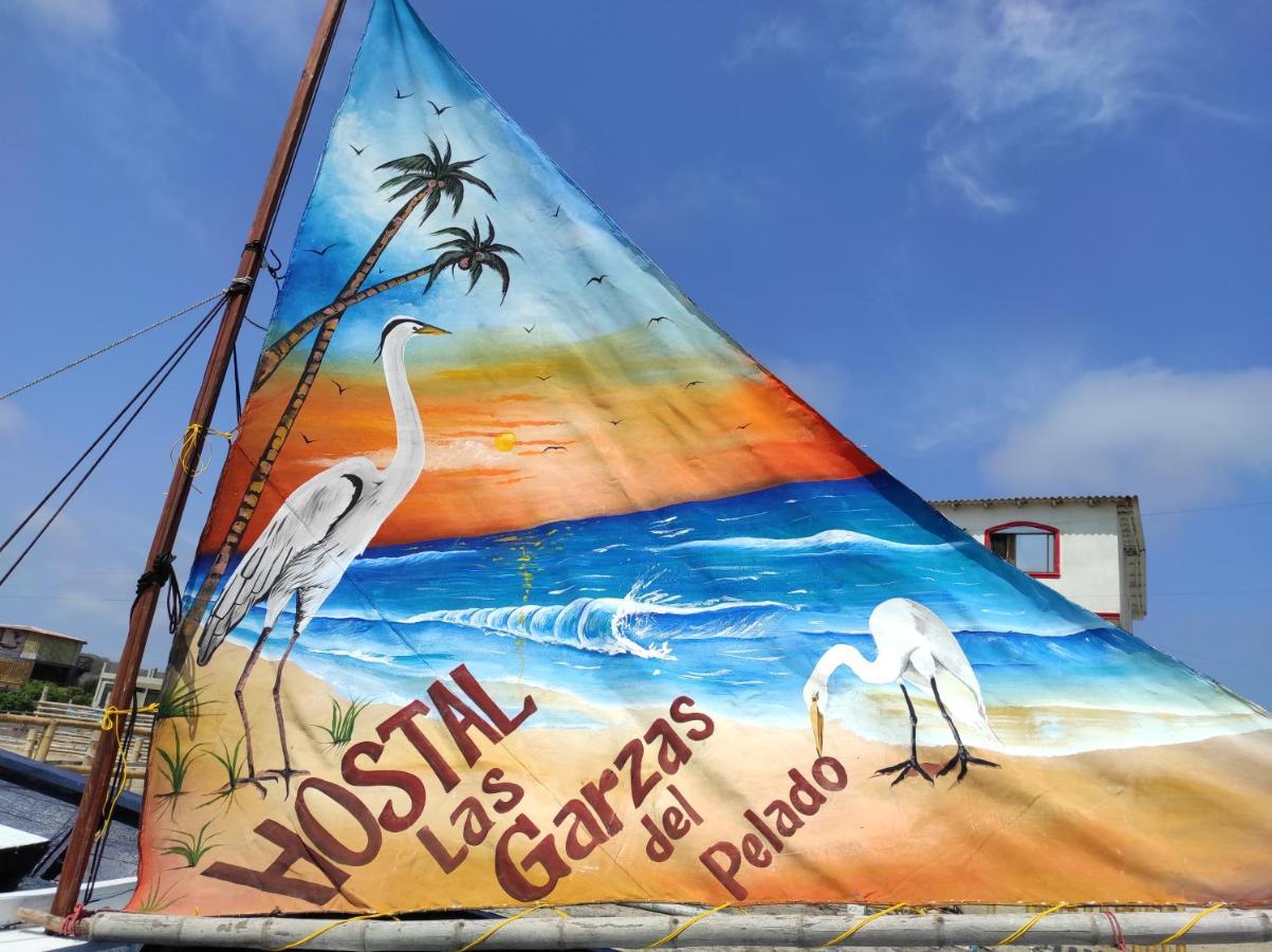 Hostal Las Garzas Del Pelado Playas Eksteriør billede
